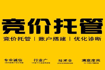 案例解析：SEM推广托管助力企业品牌建设